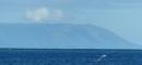 Smoke from volcanic Tofua with whale slapping pectoral fin in front